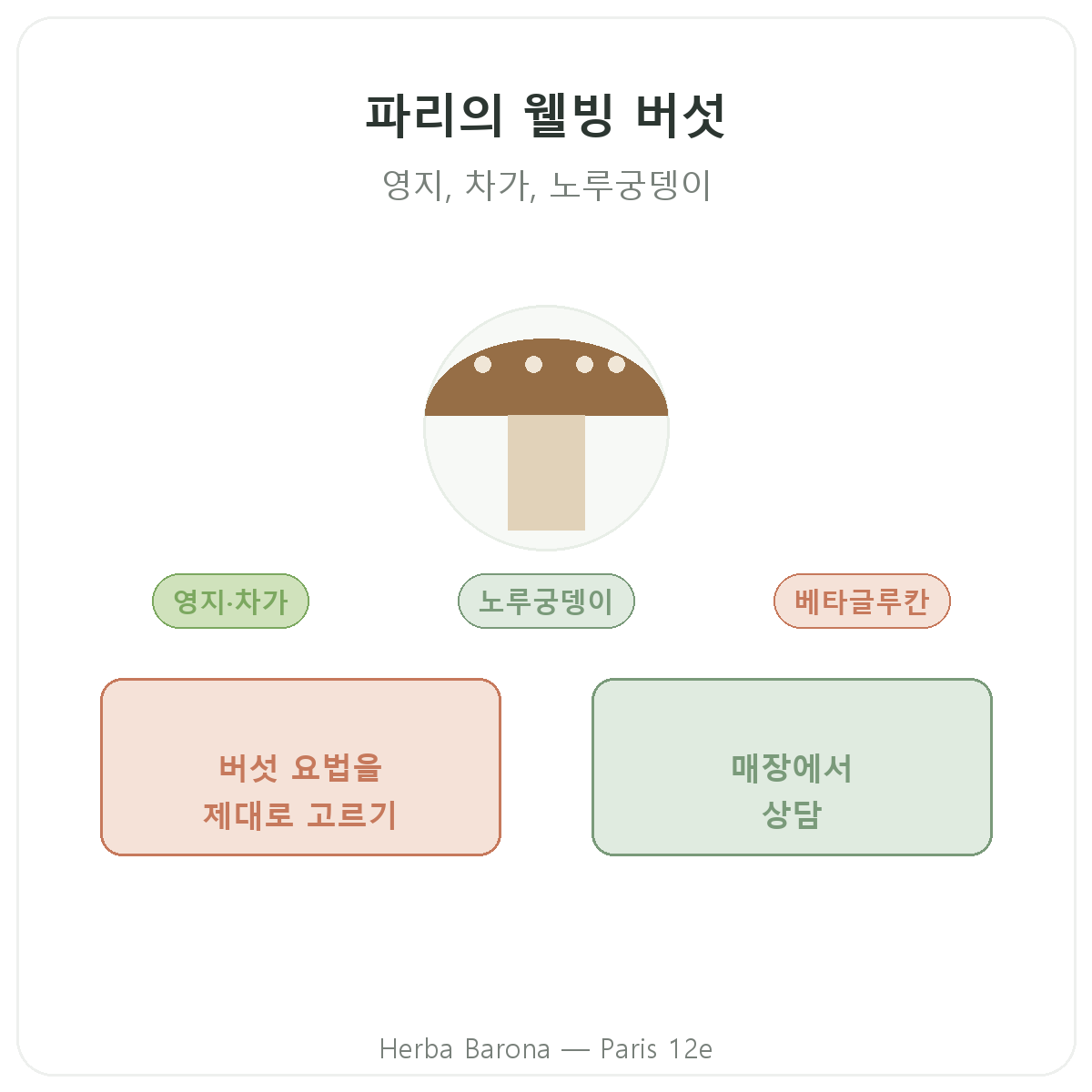 파리의 웰빙 버섯 - Herba Barona 파리 12구
