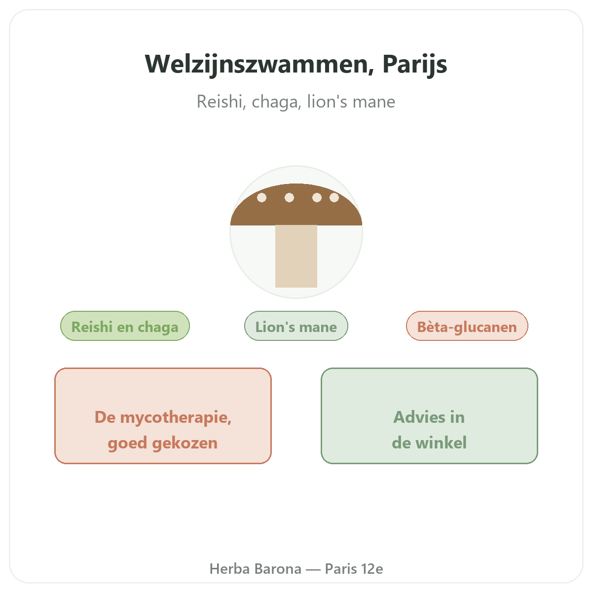 Medicinale paddenstoelen in Parijs - bij Herba Barona Parijs 12e