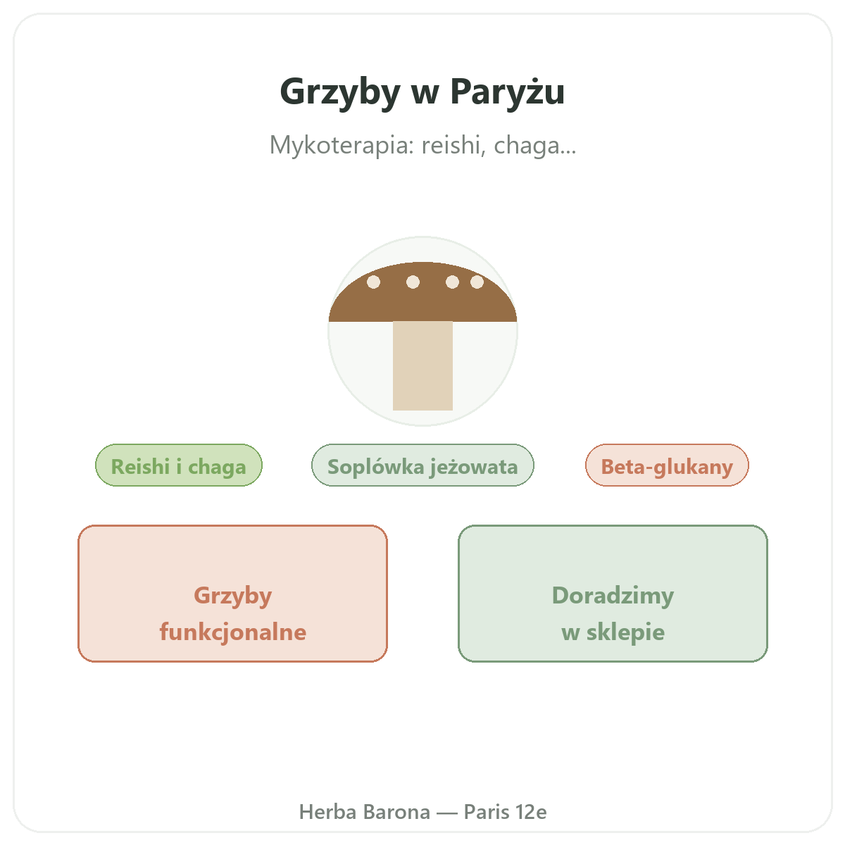 Grzyby prozdrowotne w Polsce - w Herba Barona - wysyłka do Polski