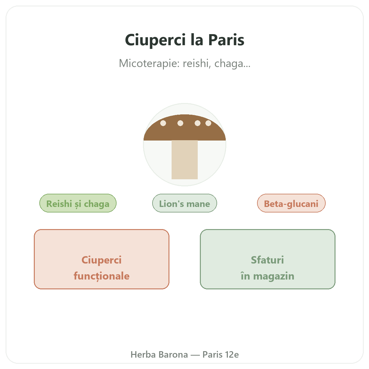 Ciuperci medicinale la Paris - la Herba Barona Paris, arondismentul 12