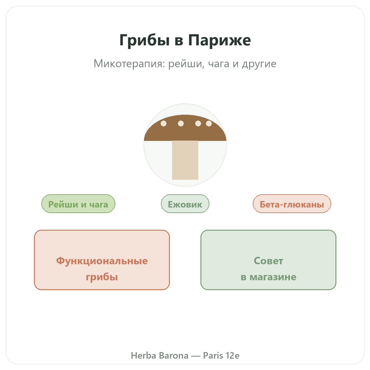 Функциональные грибы в Париже — в Herba Barona Париж, 12-й округ