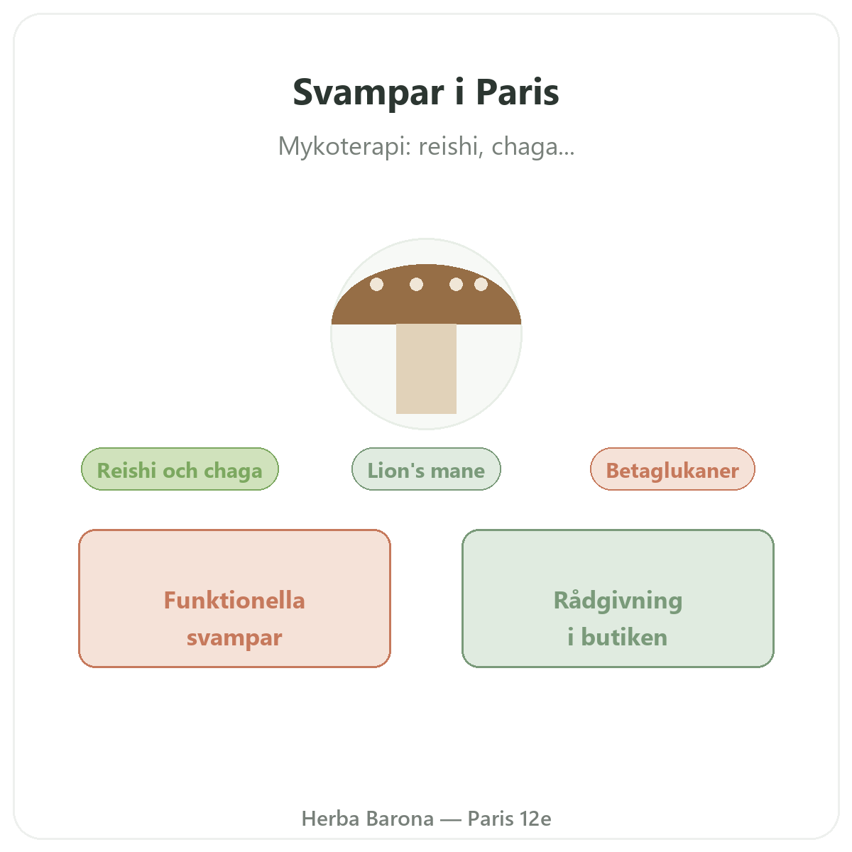 Funktionella svampar i Paris - hos Herba Barona Paris 12e