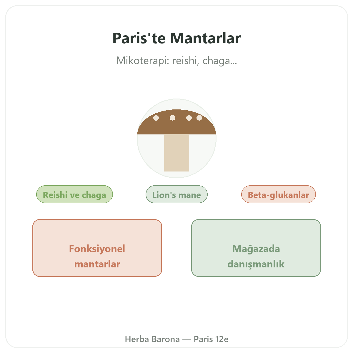 Paris’te tıbbi mantarlar - Herba Barona Paris 12. bölgede