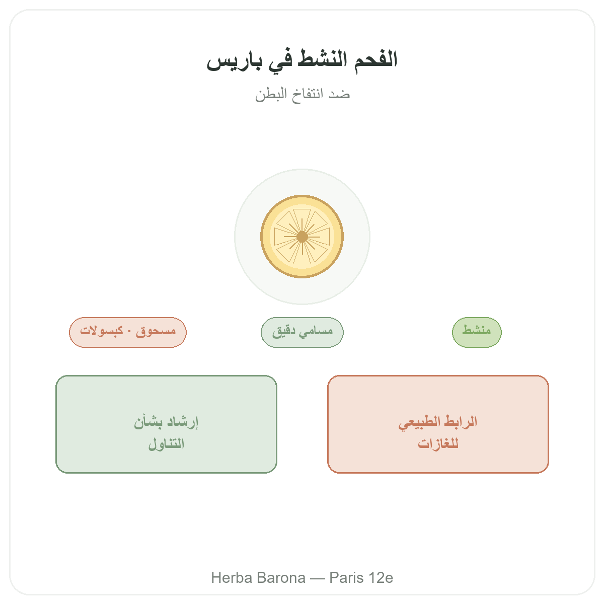 الفحم النباتي باريس - تقديم المنتج لدى Herba Barona باريس 12
