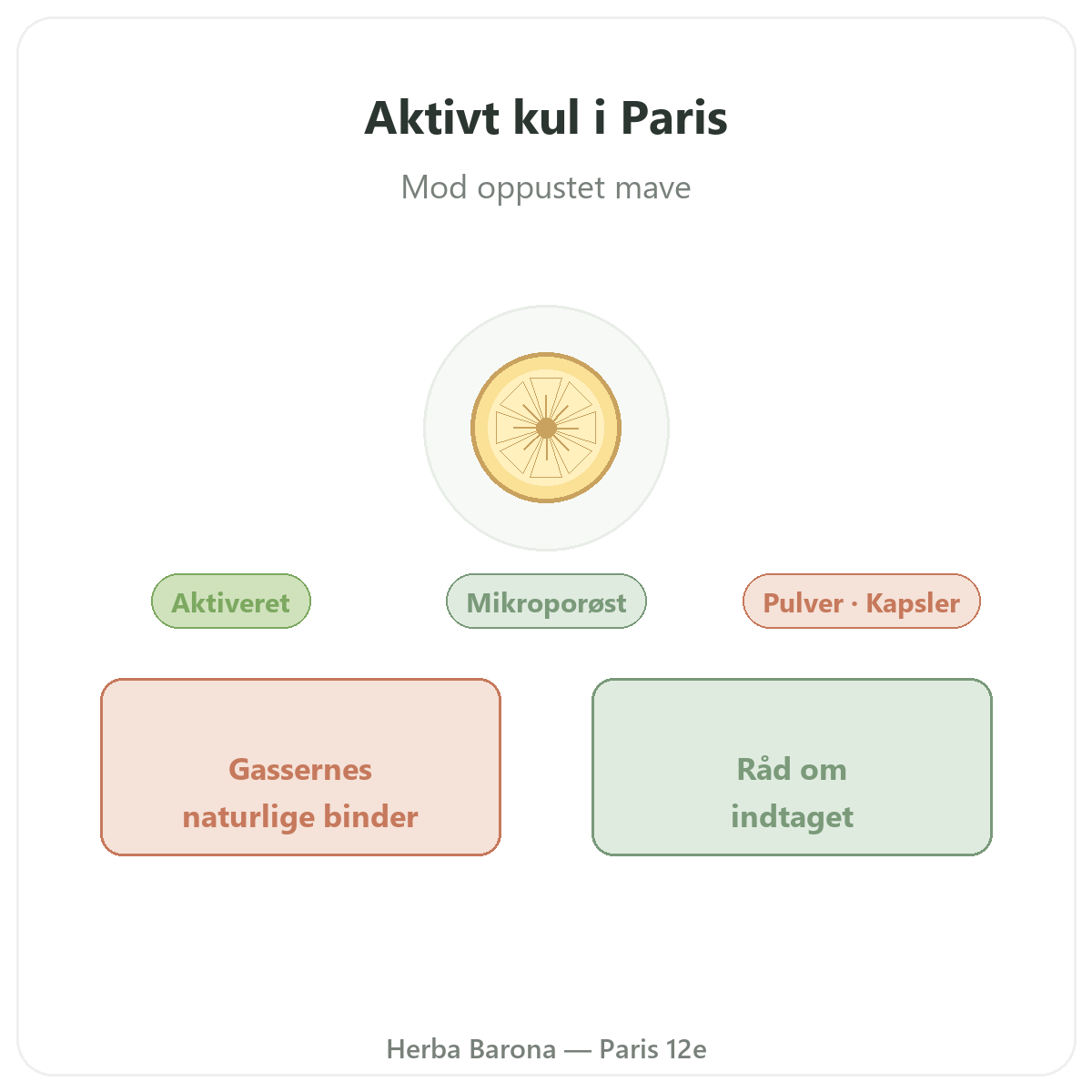 Vegetabilsk kul Paris Paris - præsentation af mærket hos Herba Barona Paris 12
