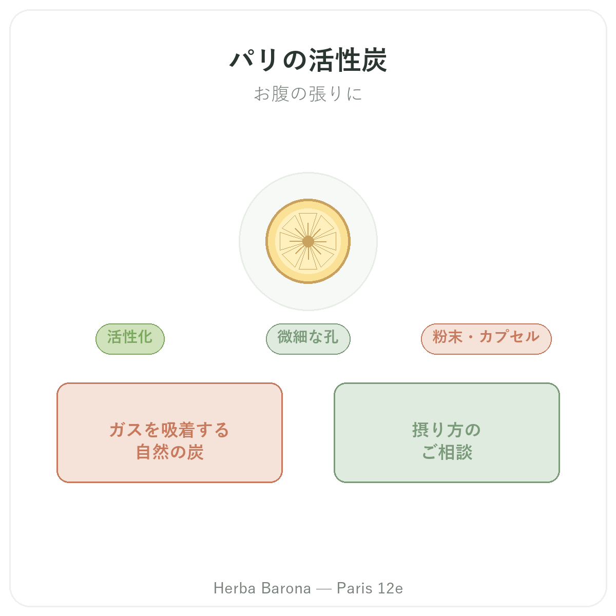 植物性活性炭 パリ - Herba Baronaパリ12区でのブランド紹介