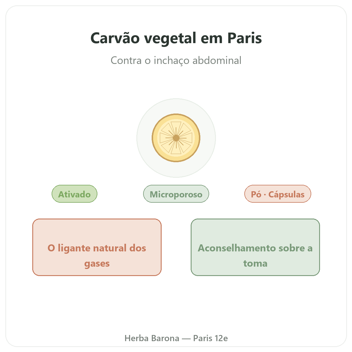 Carvão vegetal em Paris - apresentação da marca na Herba Barona Paris 12e