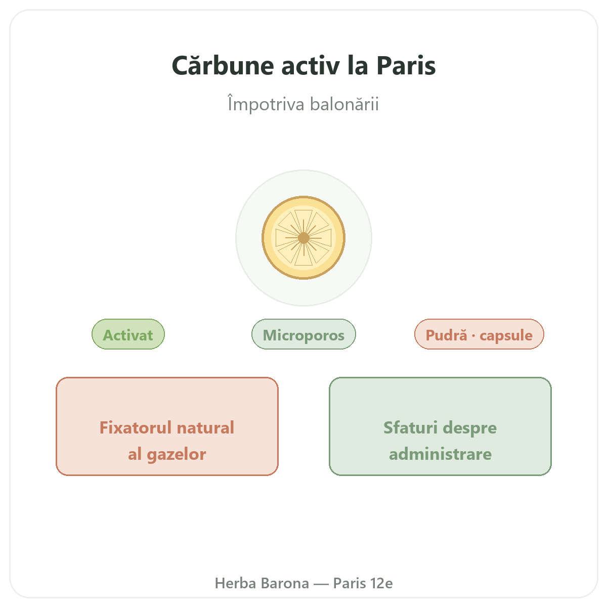 Cărbune vegetal Paris - prezentarea mărcii la Herba Barona Paris, arondismentul 12