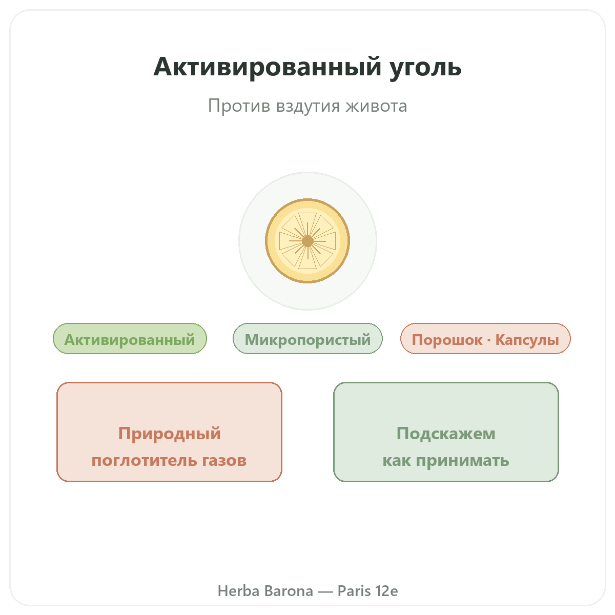 Растительный уголь Париж Париж — презентация бренда в Herba Barona, Париж, 12-й округ