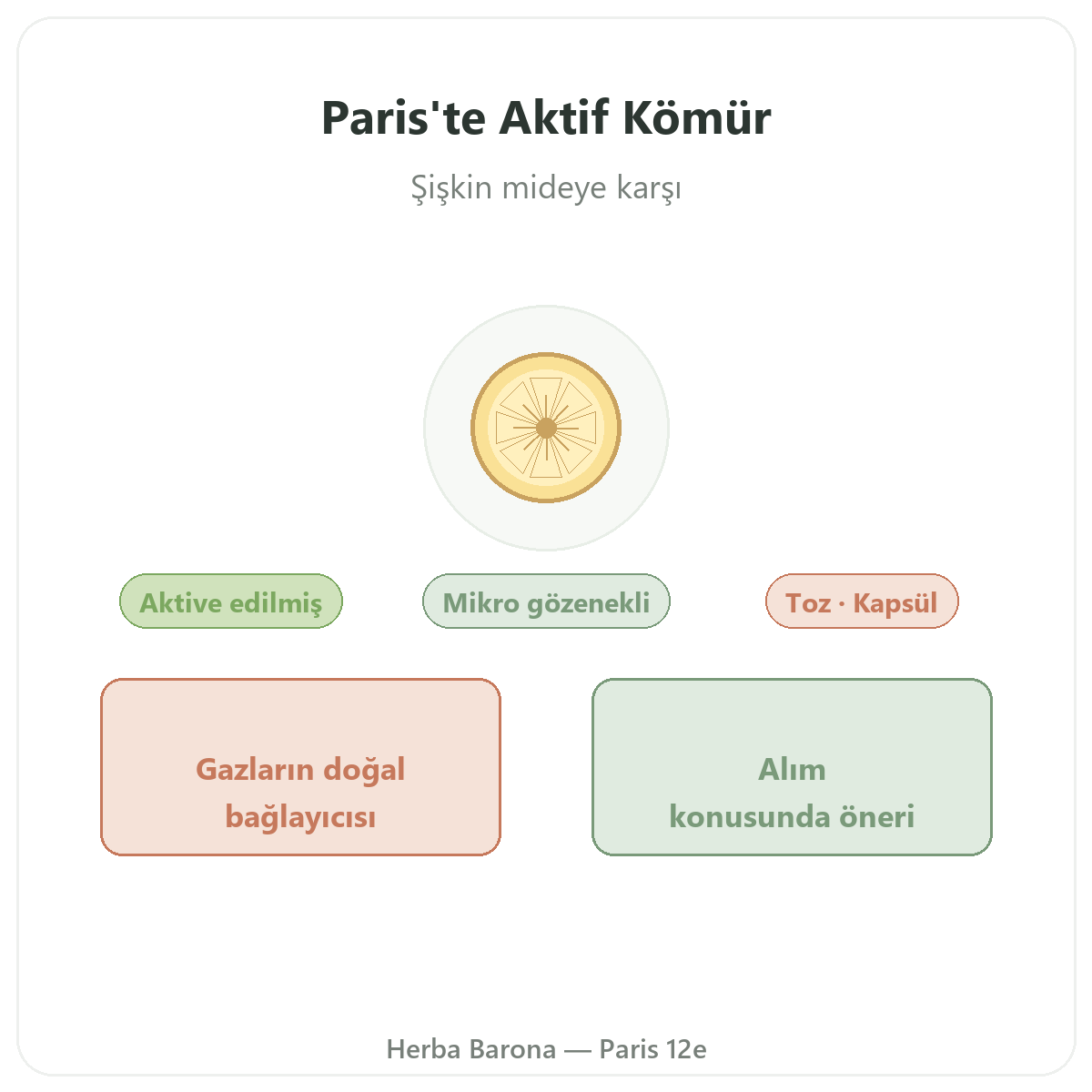 Bitkisel kömür Paris - Herba Barona Paris 12. bölge marka tanıtımı