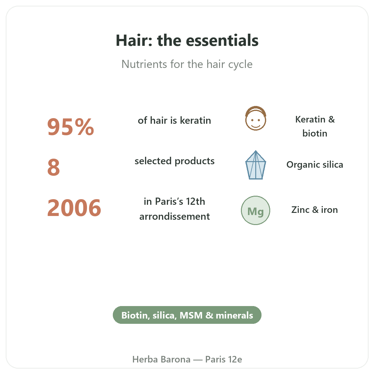 Complements cheveux en bref - chiffres cles chez Herba Barona Paris 12e