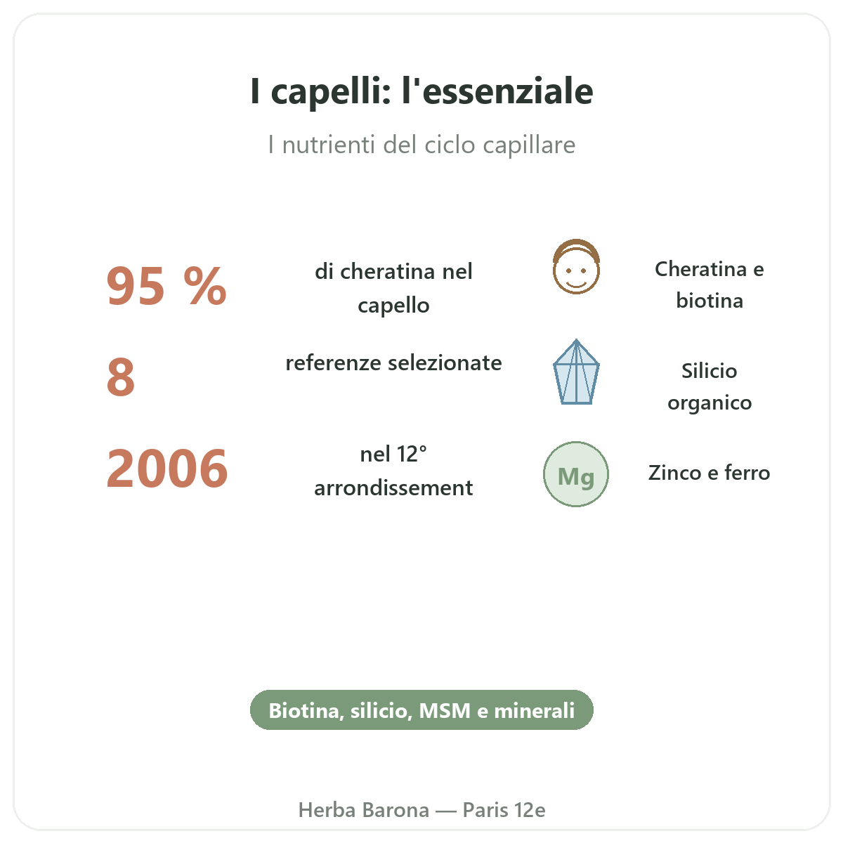 Complements cheveux en bref - chiffres cles chez Herba Barona Paris 12e