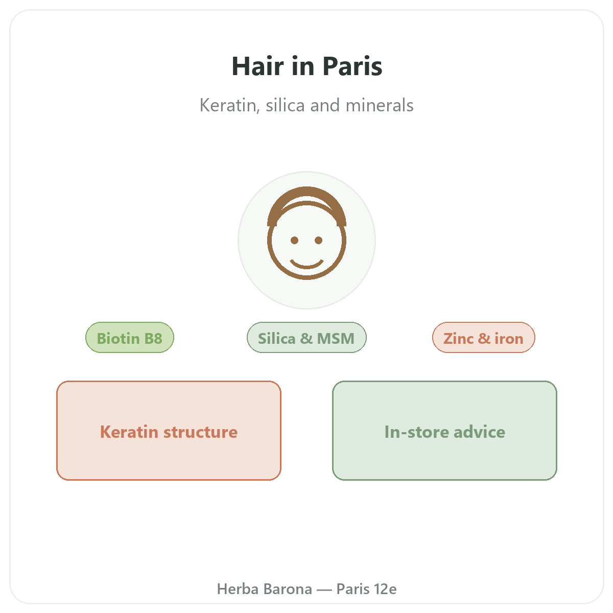 Complements cheveux a Paris - chez Herba Barona Paris 12e