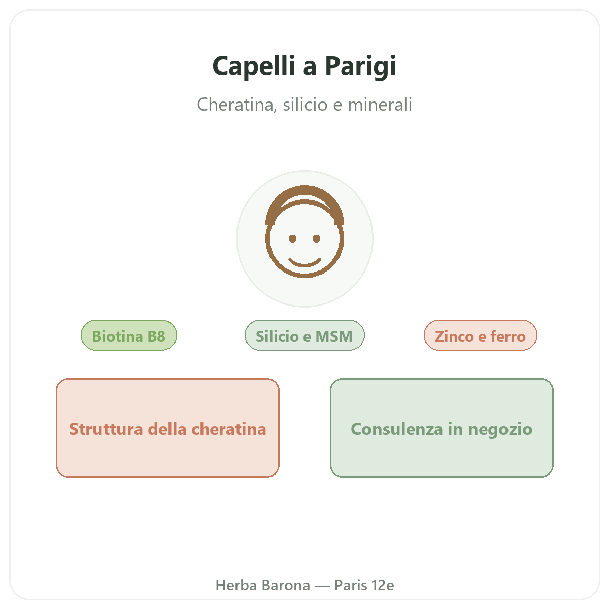 Complements cheveux a Paris - chez Herba Barona Paris 12e