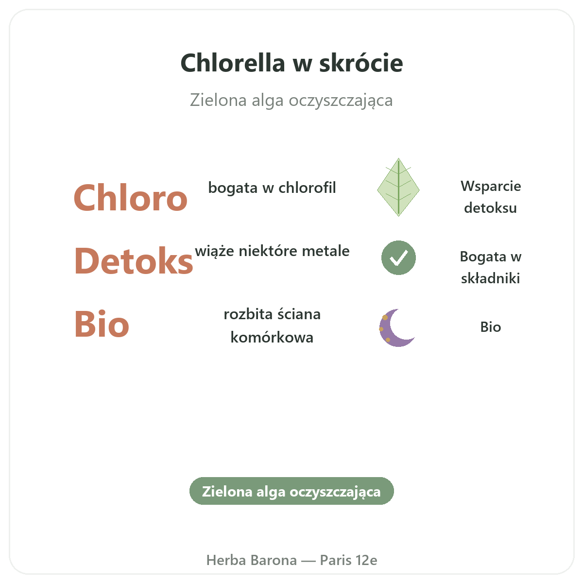 Chlorella w skrócie - kluczowe informacje dla polskich klientów
