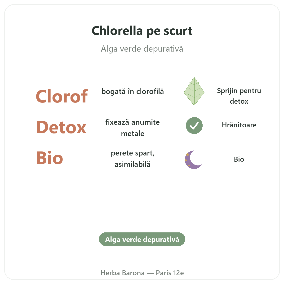 Chlorella Paris pe scurt - cifre cheie la Herba Barona Paris, arondismentul 12