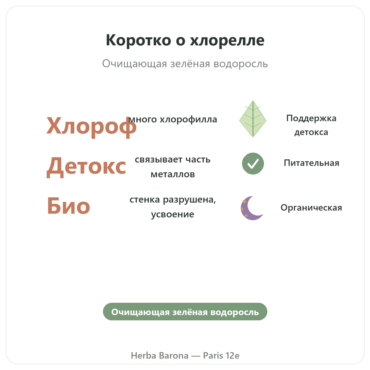 Хлорелла Париж Париж вкратце — ключевые цифры в Herba Barona, Париж, 12-й округ