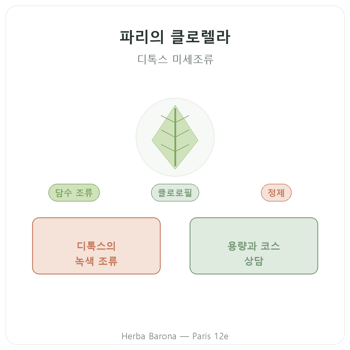 클로렐라 파리 - Herba Barona 파리 12구 브랜드 소개