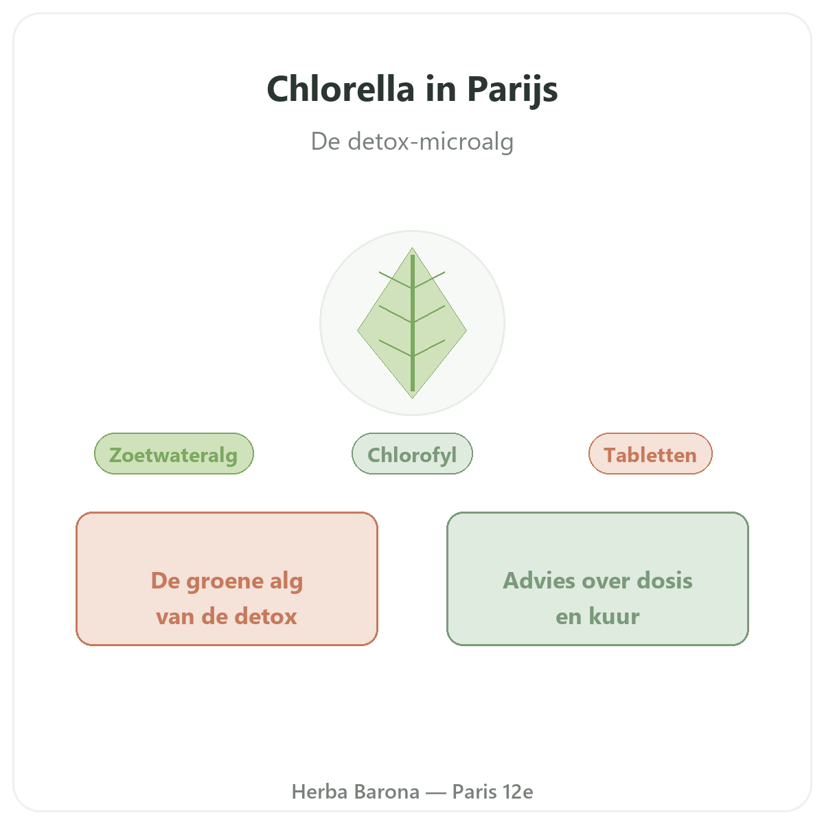 Chlorella in Parijs - presentatie van het merk bij Herba Barona Parijs 12e