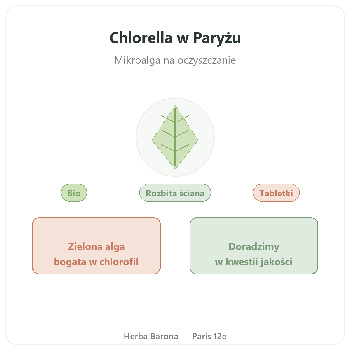 Chlorella w Herba Barona - prezentacja marki w sklepie w Paryżu