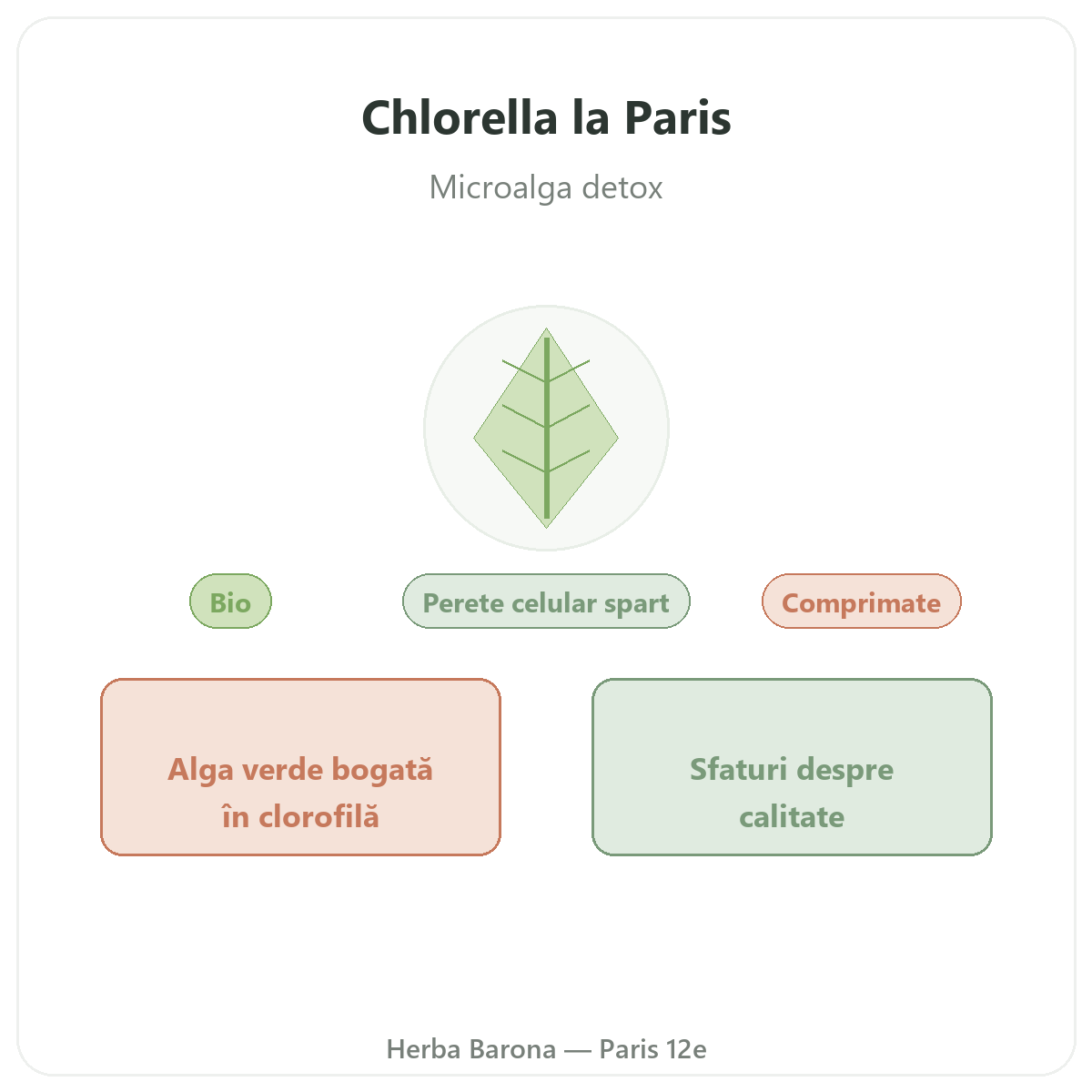 Chlorella Paris - prezentarea mărcii la Herba Barona Paris, arondismentul 12