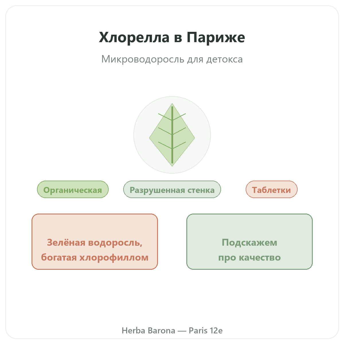 Хлорелла Париж Париж — презентация бренда в Herba Barona, Париж, 12-й округ