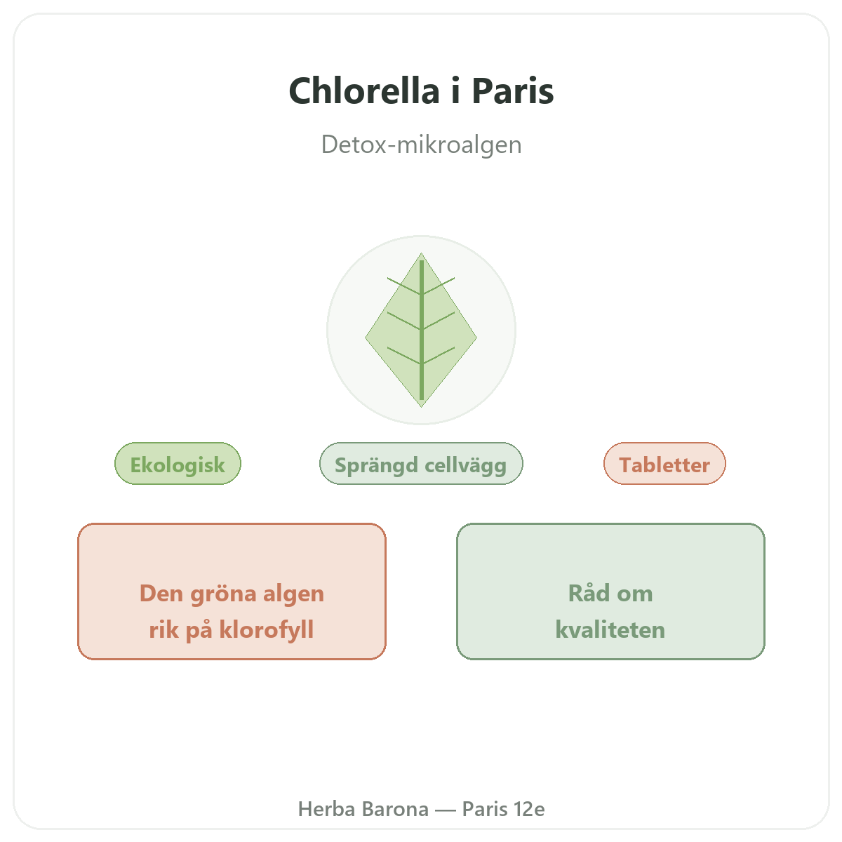 Klorella Paris – presentation av märket hos Herba Barona Paris 12e