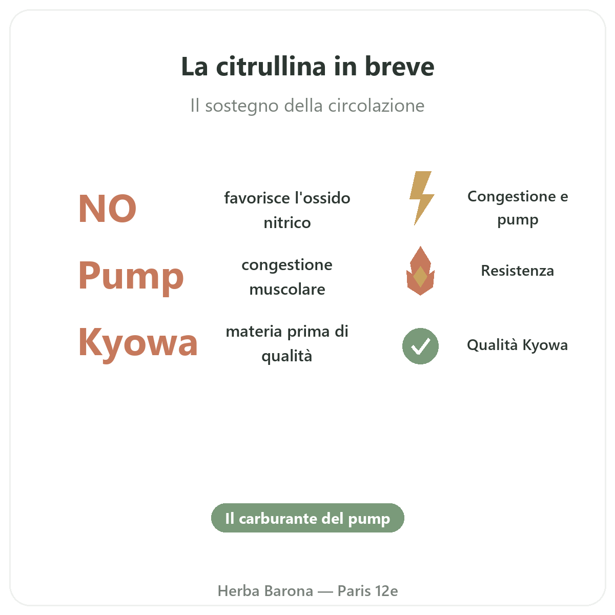 Citrullina Parigi in breve - dati chiave da Herba Barona Parigi 12e
