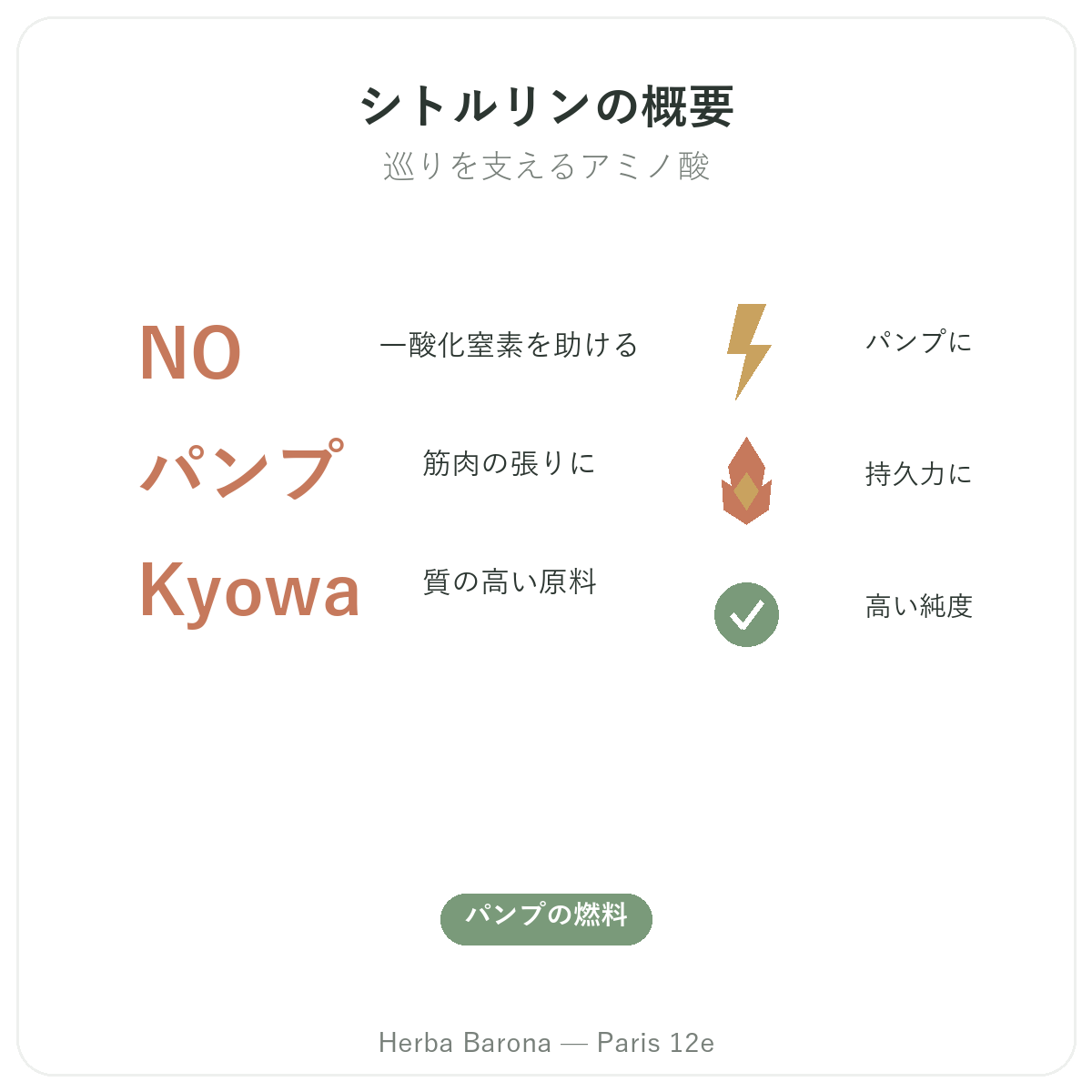 シトルリン パリ概要 - Herba Barona パリ12区の主要データ