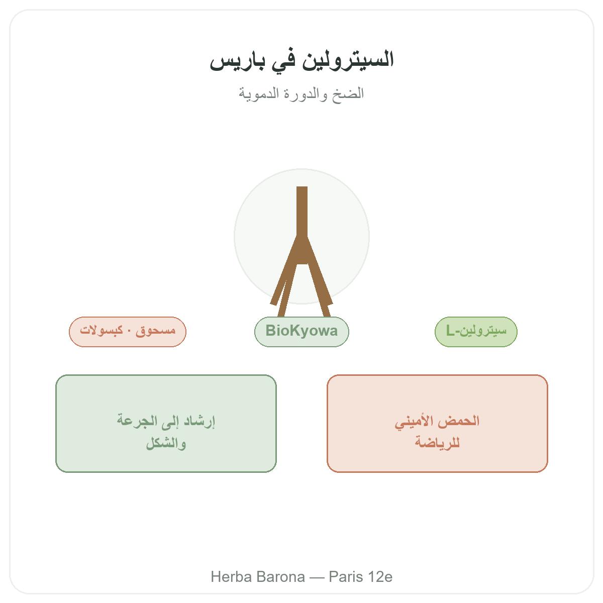 السيترولين في باريس - تقديم الفئة لدى Herba Barona باريس 12