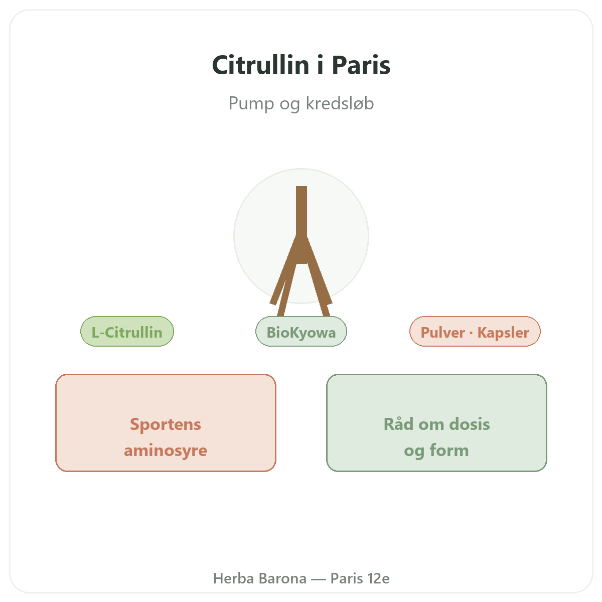 Citrullin Paris - præsentation af mærket hos Herba Barona Paris 12