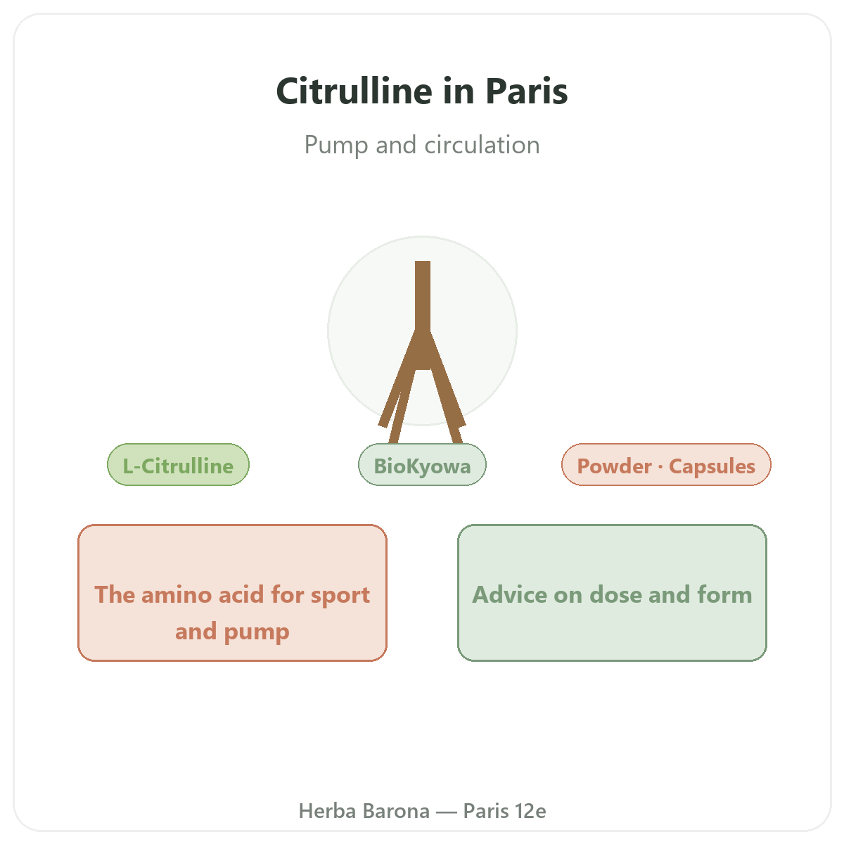 Citrulline in Paris - brand overview at Herba Barona Paris 12th