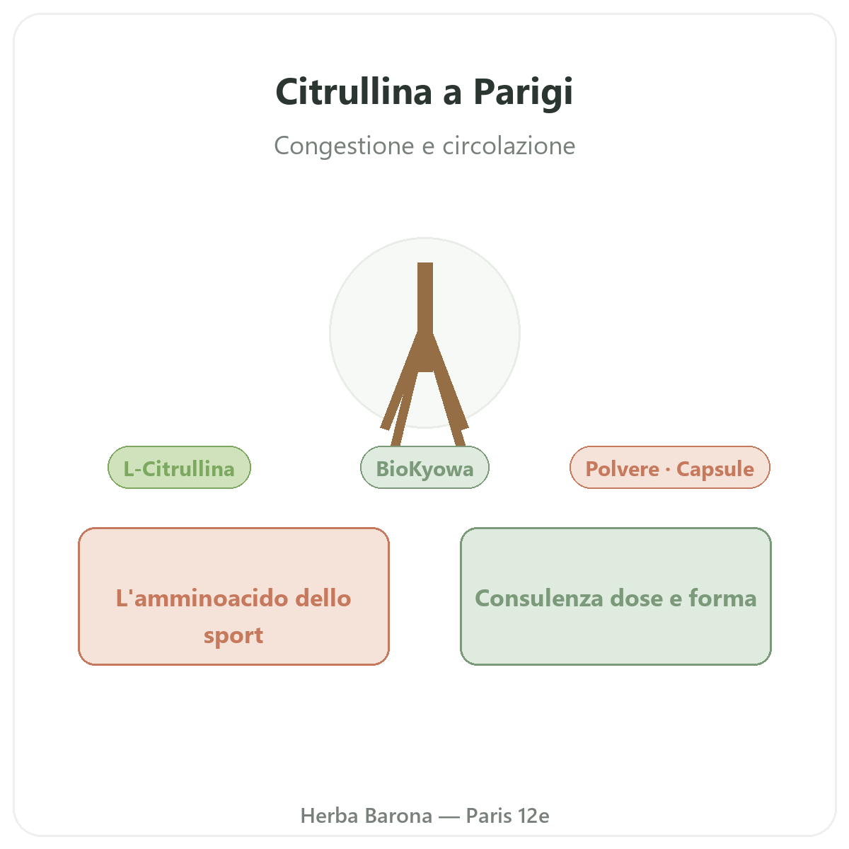 Citrullina Parigi - presentazione del marchio da Herba Barona Parigi 12e
