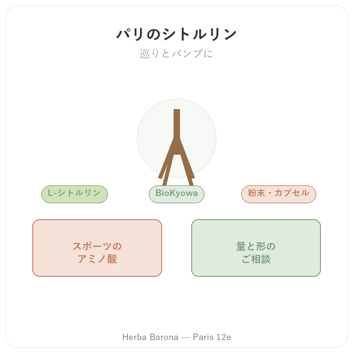 シトルリン パリ - Herba Barona パリ12区でのブランド紹介