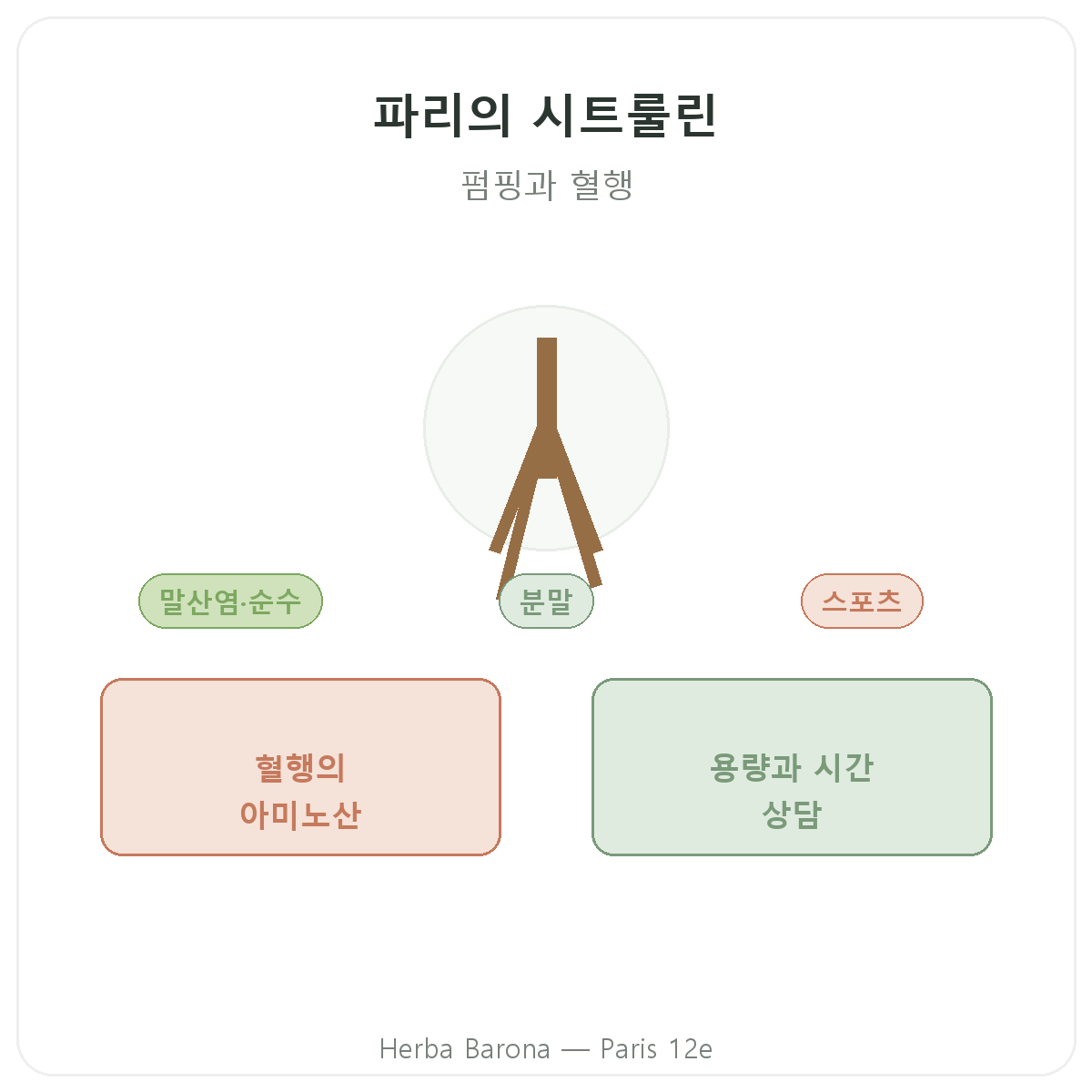 시트룰린 파리 - Herba Barona 파리 12구 브랜드 소개