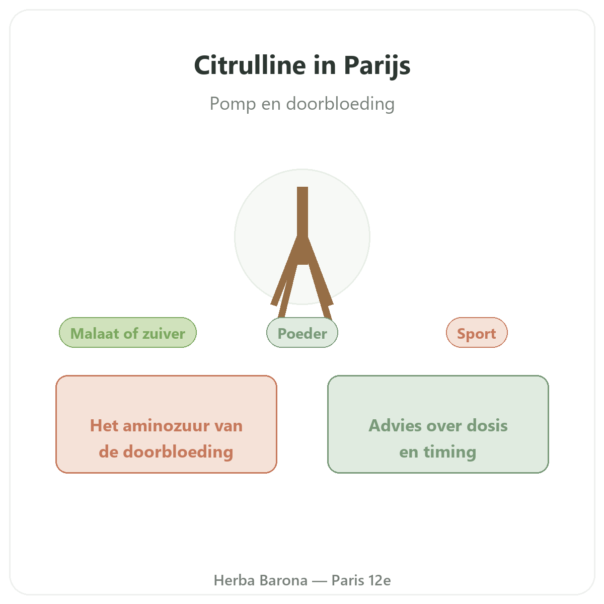 Citrulline Parijs - voorstelling van het merk bij Herba Barona Parijs