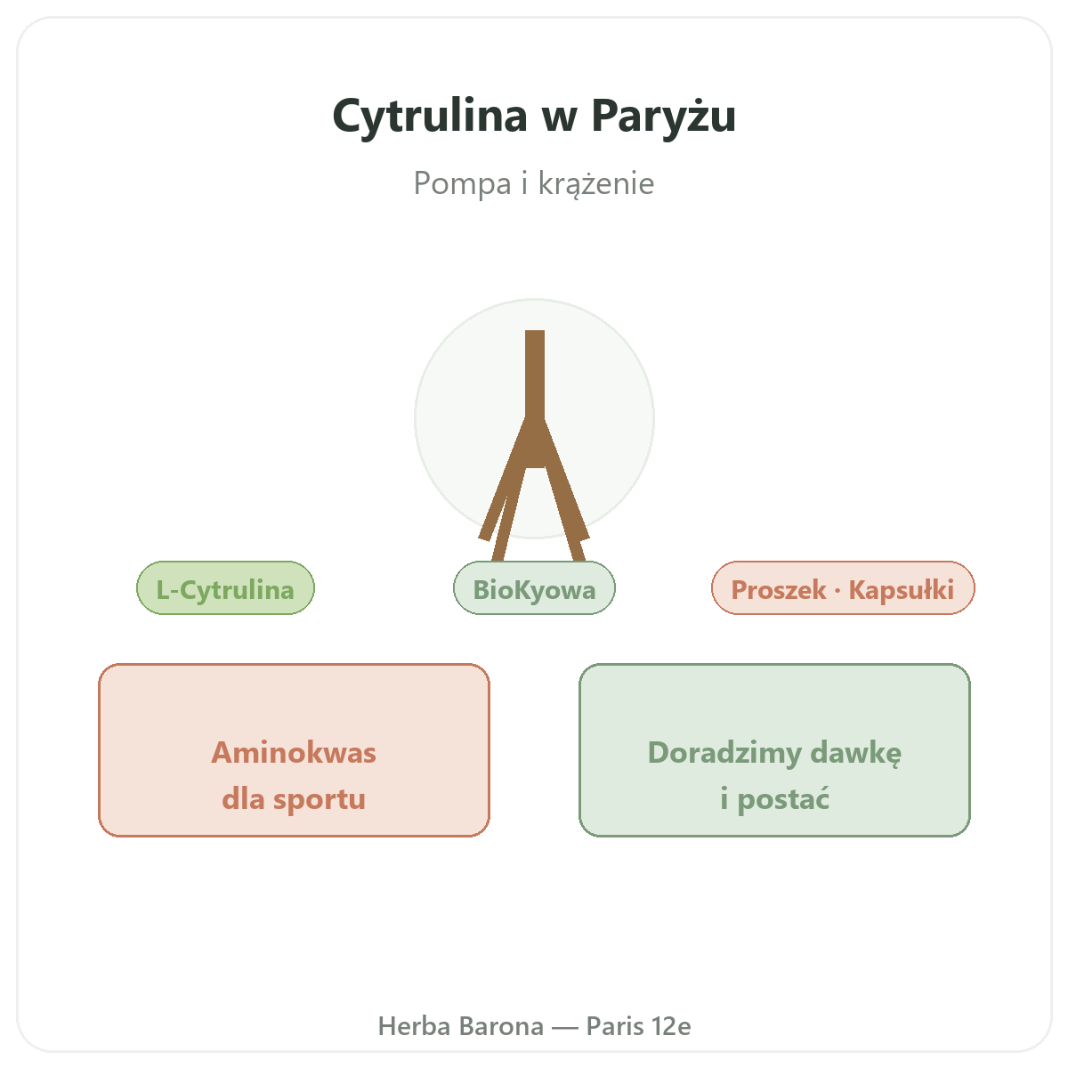 Cytrulina w Paryżu – prezentacja marki w Herba Barona
