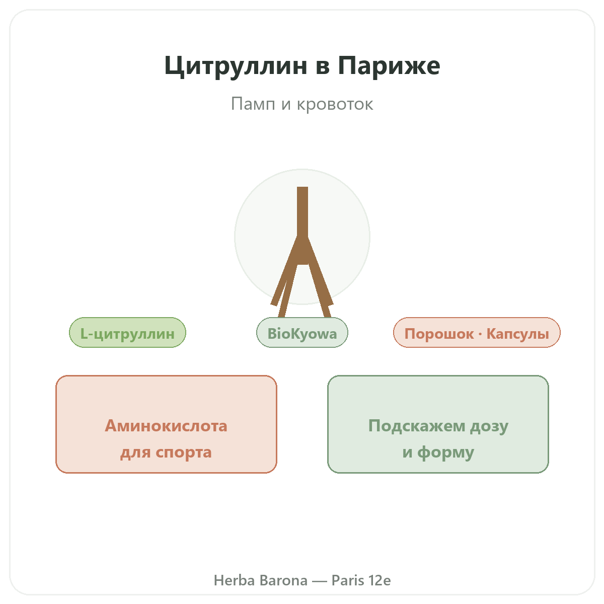Цитруллин Париж — презентация марки в Herba Barona, Париж, 12-й округ