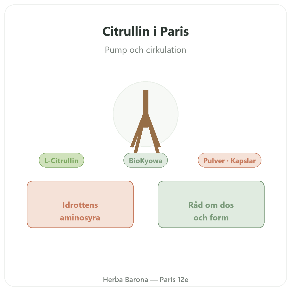 Citrullin i Paris – presentation av varumärket hos Herba Barona Paris 12e