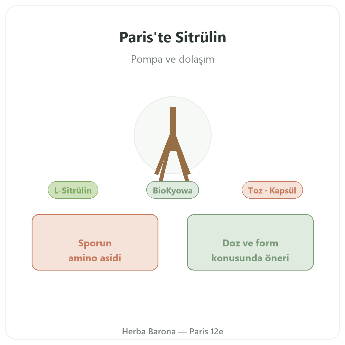 Sitrülin Paris - Herba Barona Paris 12. bölge marka tanıtımı