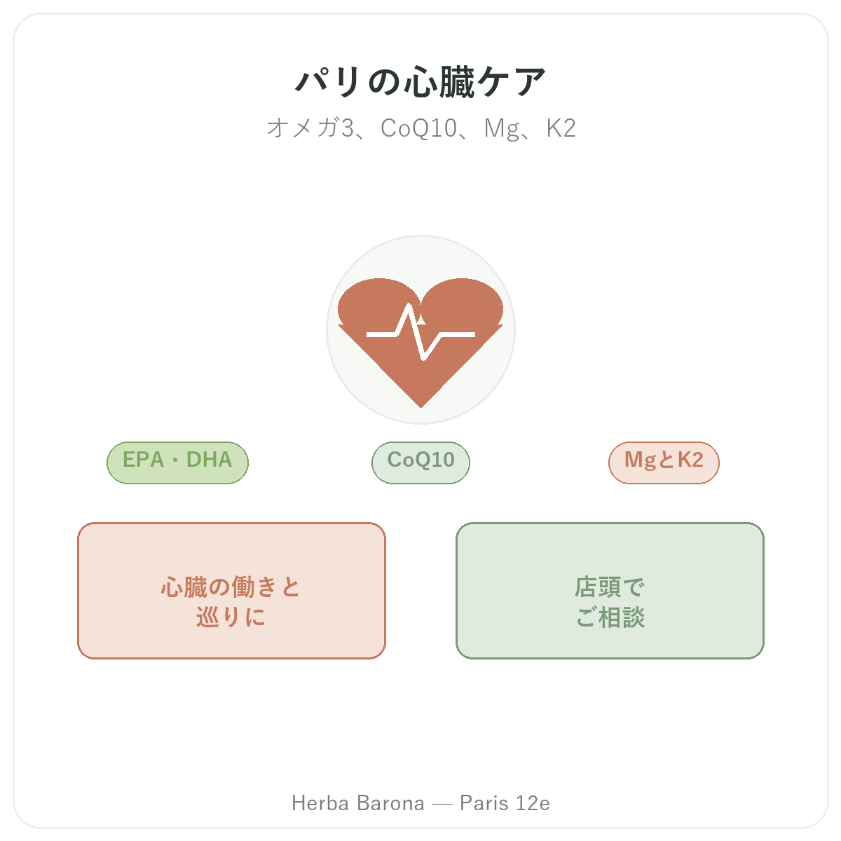 心臓ケアサプリメント パリ - 心血管の健康 Herba Barona パリ12区