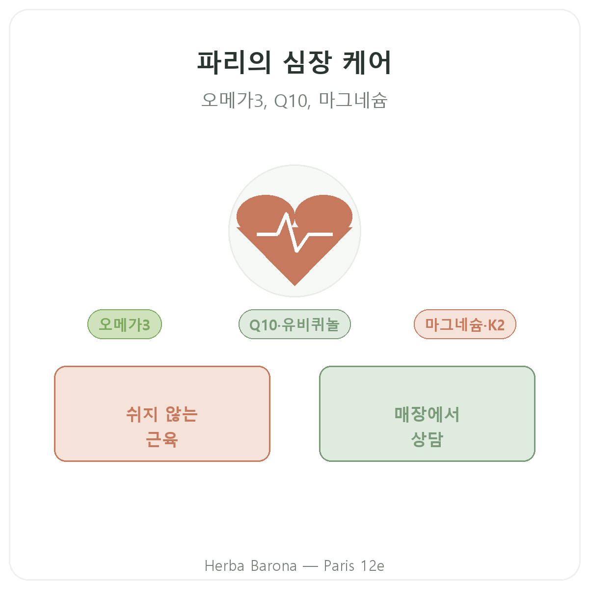 파리의 심장 영양제 - Herba Barona 파리 12구 심혈관 건강