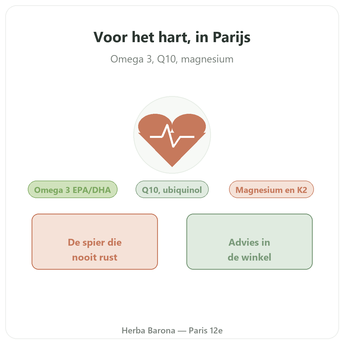 Complements coeur a Paris - sante cardiovasculaire chez Herba Barona Paris 12e
