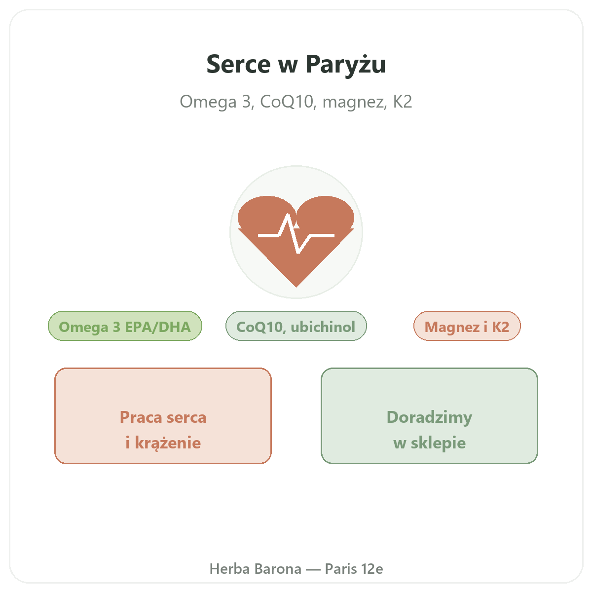 Suplementy dla serca z wysyłką do Polski – zdrowie sercowo-naczyniowe – Herba Barona