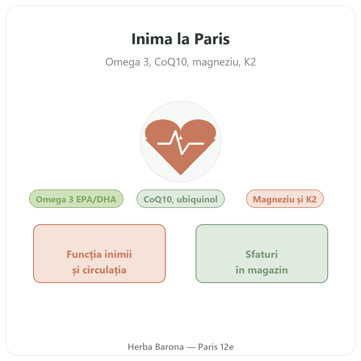 Suplimente pentru inimă la Paris - sănătate cardiovasculară la Herba Barona Paris, arondismentul 12