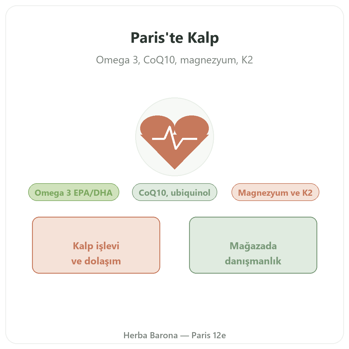 Paris’te kalp takviyeleri - Herba Barona Paris 12. bölgede kardiyovasküler sağlık