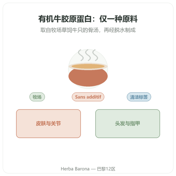 Jarmino 有机牛胶原蛋白粉 产品展示 Paris Herba Barona