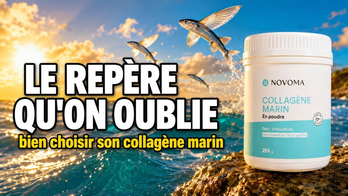 Deniz kolajeni nasıl iyi seçilir video Paris Herba Barona