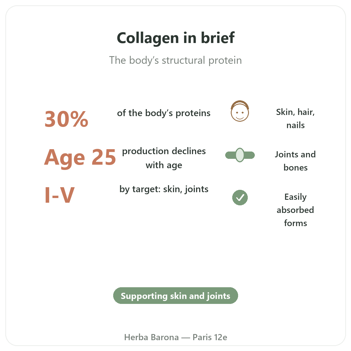 Collagen in Paris at a glance - key figures at Herba Barona Paris 12th