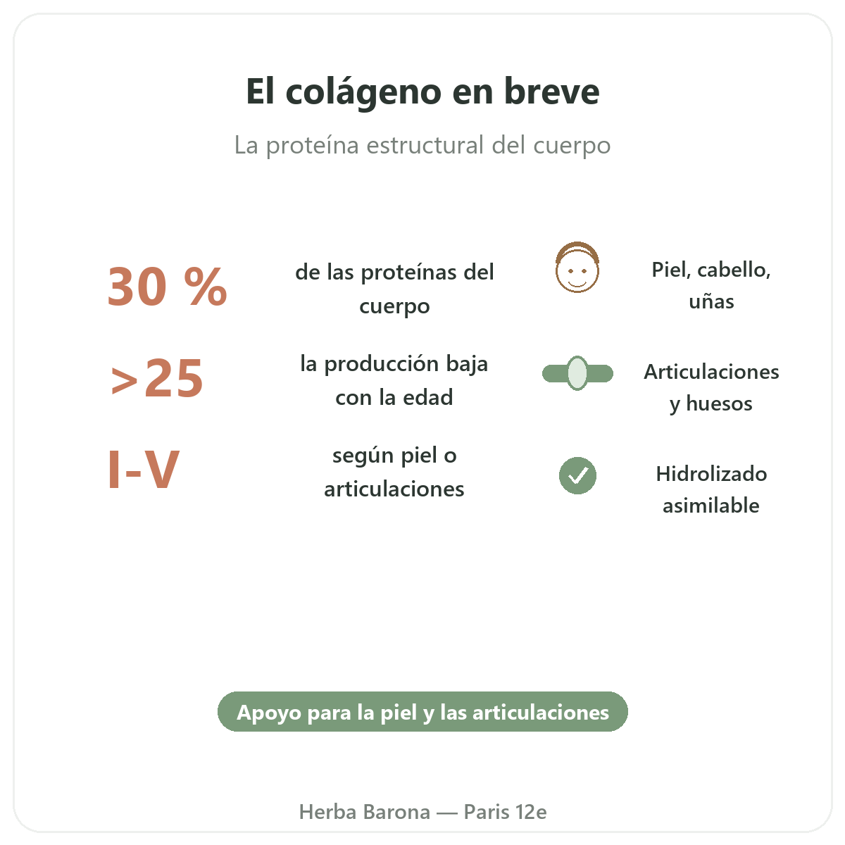 Colágeno París en breve - cifras clave en Herba Barona París 12e